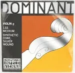 Dominant 4/4 Violin G String