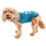 New! After surgery recovery belly guard dog onesie Small