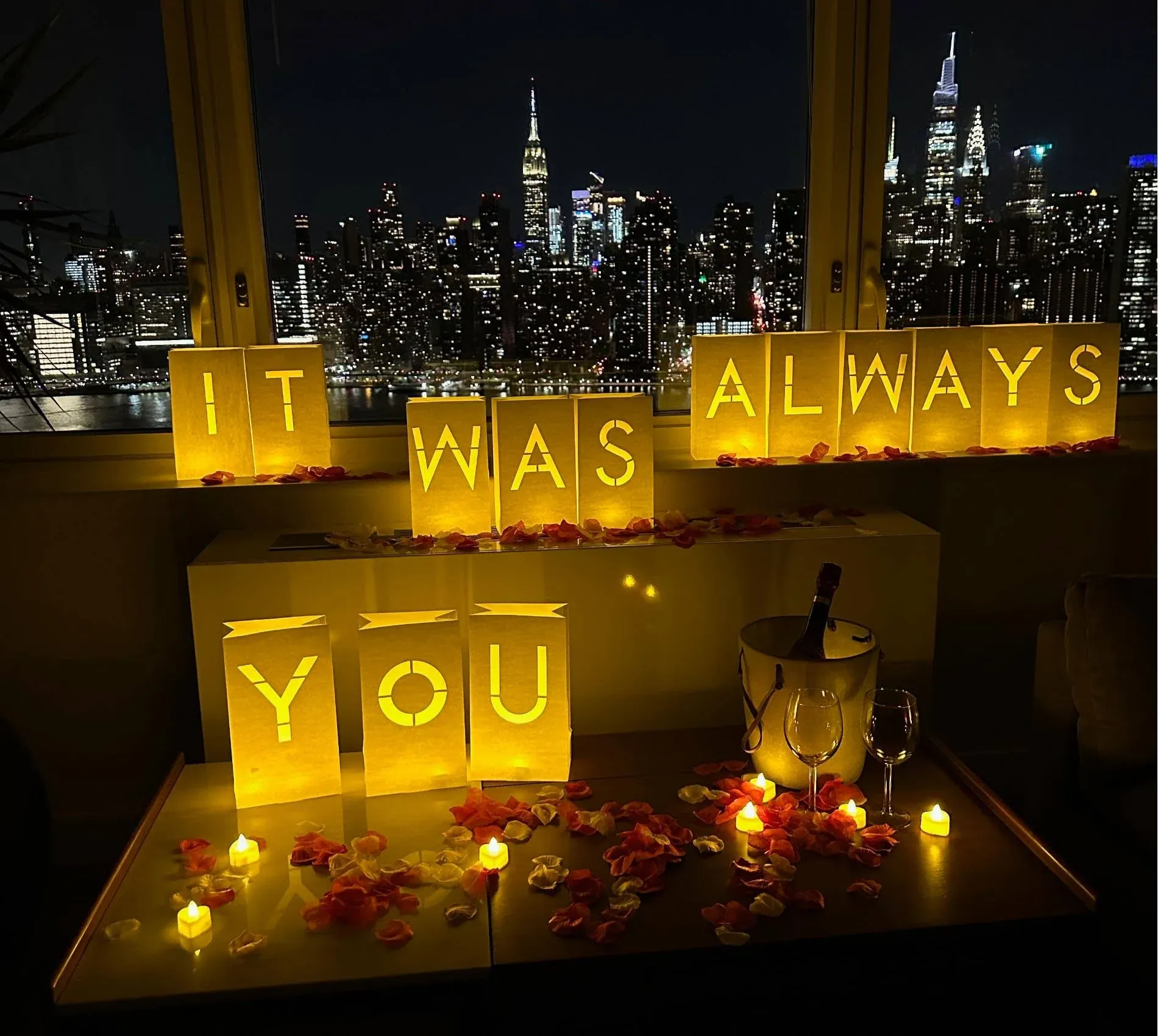 WYMM It Was Always You Light Up Letters and LED Lights Roses Luminary Paper Bags