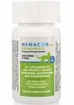 Nemacor Cat Tapeworm Plus 5 Count