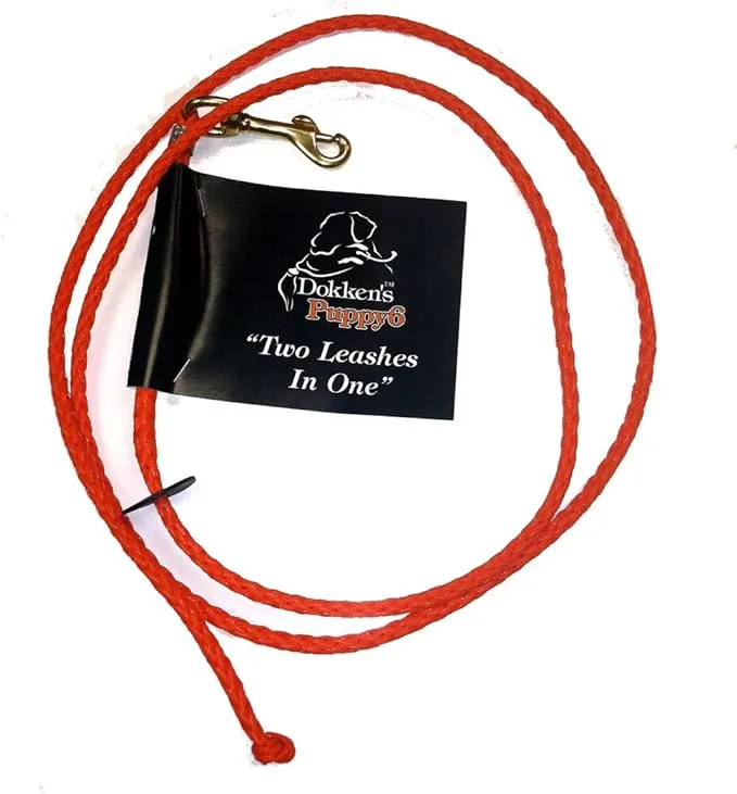 Puppy 6 | 2 leashes In One Check Cord | PLX100 | Hunting Dog Training | Dokken NEW