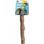 Prevue Pacific Perch Beach Branch