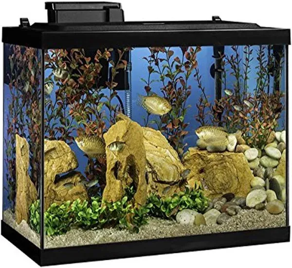 Tetra Aquarium 20 Gallon Fish Tank Kit NV33821