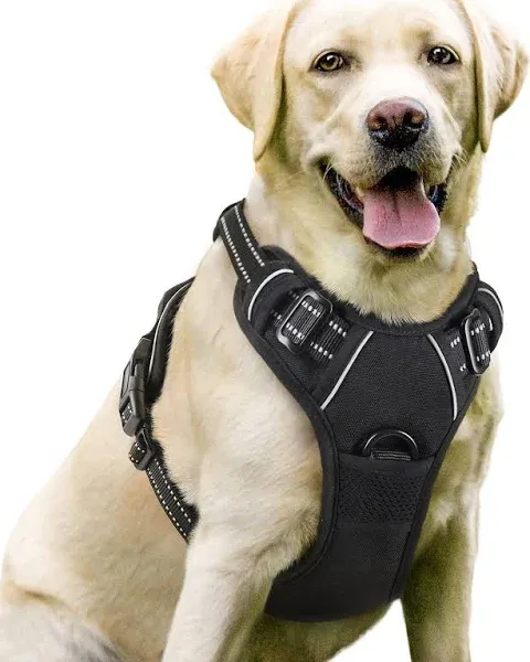 RABBITGOO Dog Harness No-pull Pet Adjustable Outdoor Vest, Size M - Black