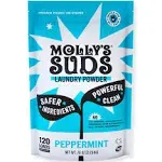 Molly's Suds Unscented Laundry Powder