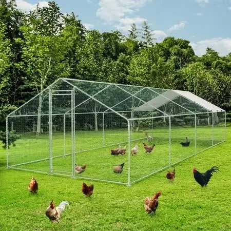 Toetol Metal Chicken Coop with Run Walkin