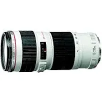 Canon RF 70-200mm f/4L IS USM Lens