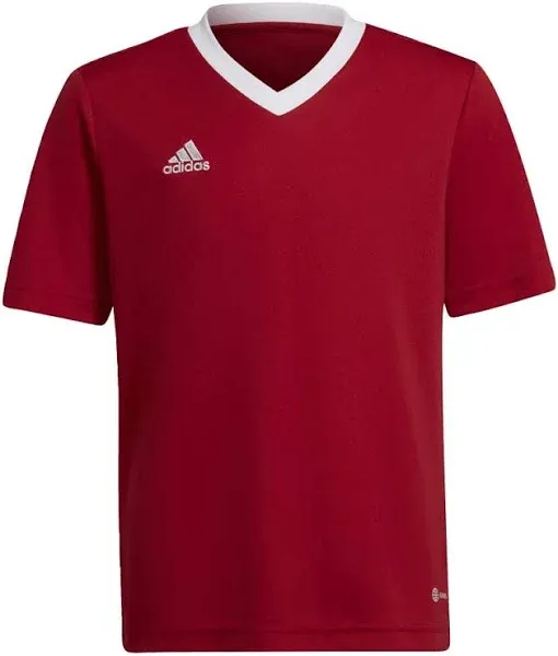 Boys adidas Entrada 22 Youth Jersey