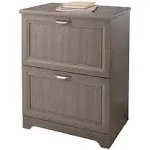 Realspace Magellan 23-1/2 inchw x 16-9/16 inchd Lateral 2-Drawer File Cabinet, Gray