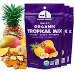 Mavuno Harvest Tropical Mix Dried Fruit Snack Organic Mixed 2 Oz 3 Pack     