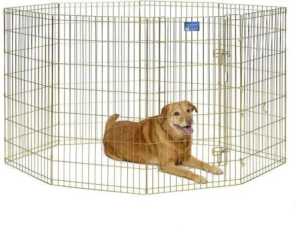 Midwest Exercise Pen 24-in with Full Max Lock Door Blue