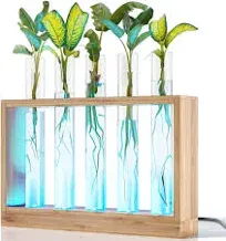 Planters' Choice Light Up Bamboo Vial Air Planter - Plant Lover Easter Gifts for Women, Best Indoor Gardening House Warming Gift Ideas, Office New