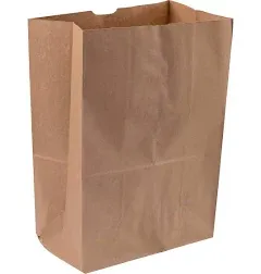 BBL Paper Grocery Bag