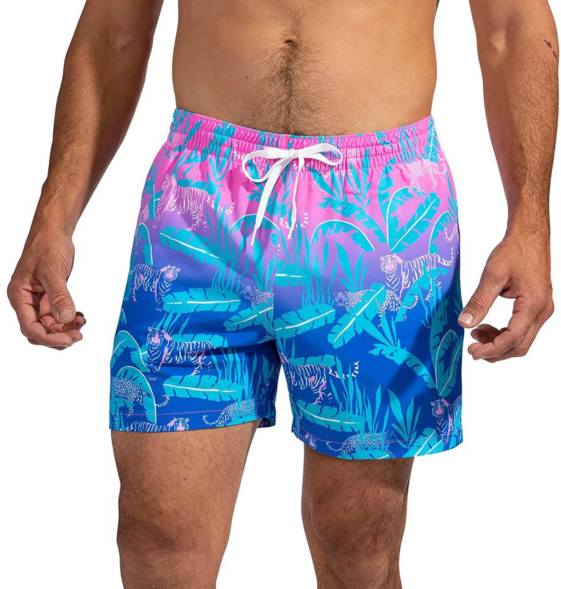 Chubbies Small Swim Trunks