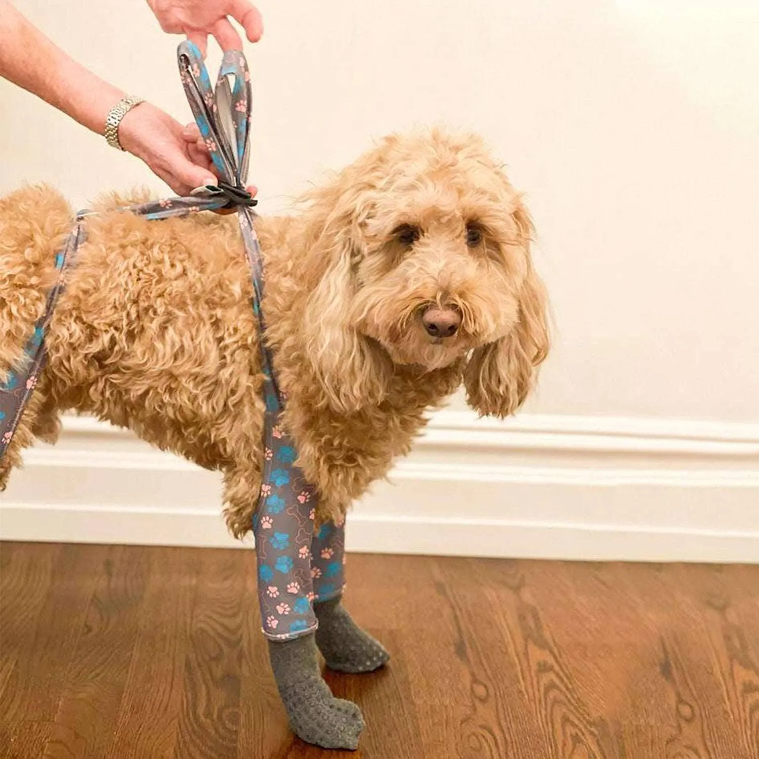 Walkee Paws Stay-On Grippy Socks