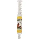 Durvet AspirEze Aspirin Gel for Horses - Apple flavor 80mL