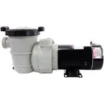 Rx Clear Dorado 2 HP Dual Port Pump | Above-Ground Swimming Pool Pump | 115V 12 Amps | See-Through Strainer Cover | Energy Efficient | Low Maintenance