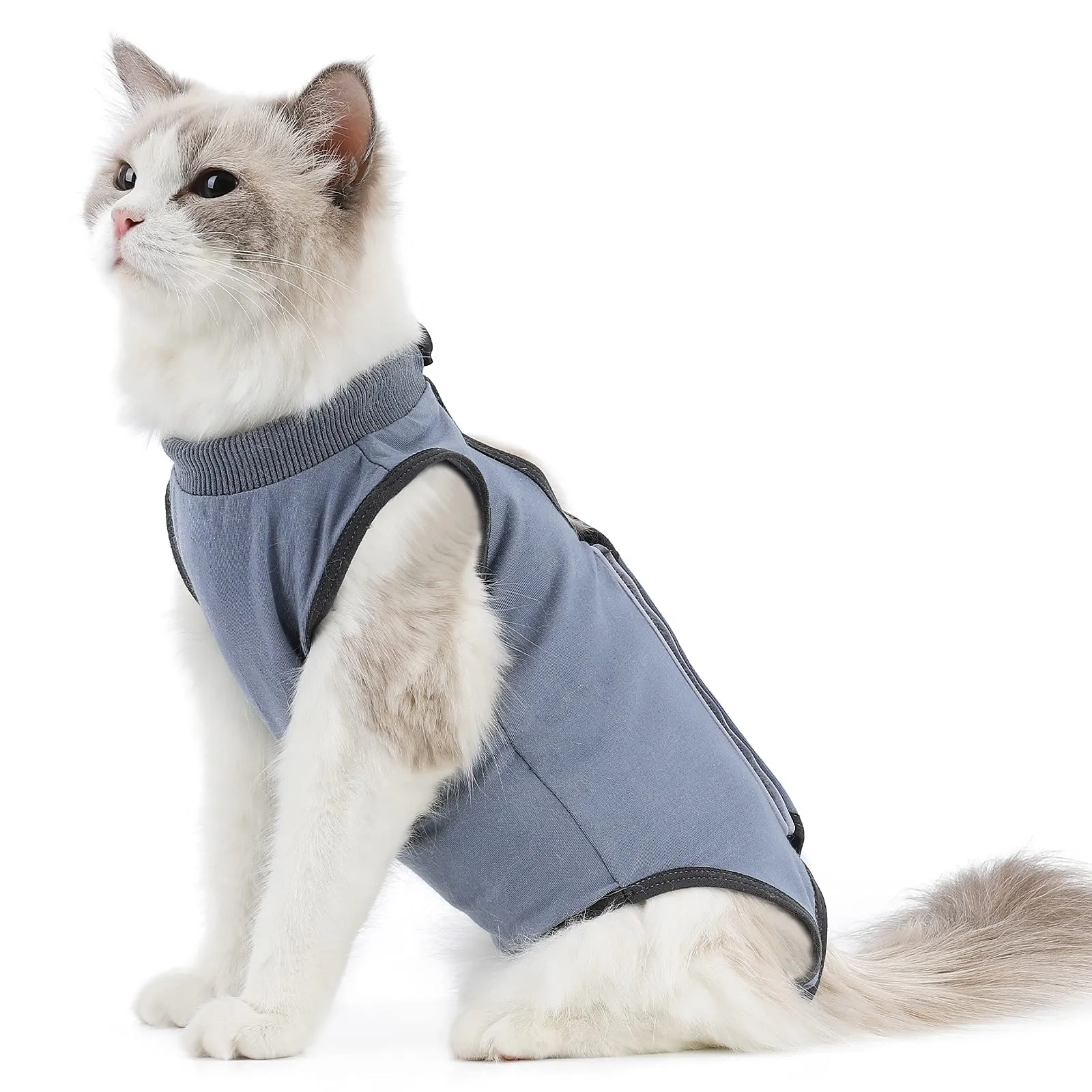 kzrfojy Cat Surgery Recovery Suit Cat Onesie for Cats After Surgery Spay Surgical Abdominal Wound Skin Diseases E-Collar Alternative Wear Grey-Blue-M