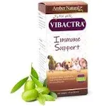 Amber NaturalZ Vibactra Immune Support Herbal Supplement for Dogs, Cats, Birds, Guinea Pigs, and Rabbits | Pet Herbal Blend for Overall Health | 1 Fluid Ounce Glass Bottle | Manufactured in The USA