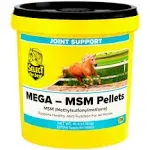 Mega-MSM Pellets 10 lb