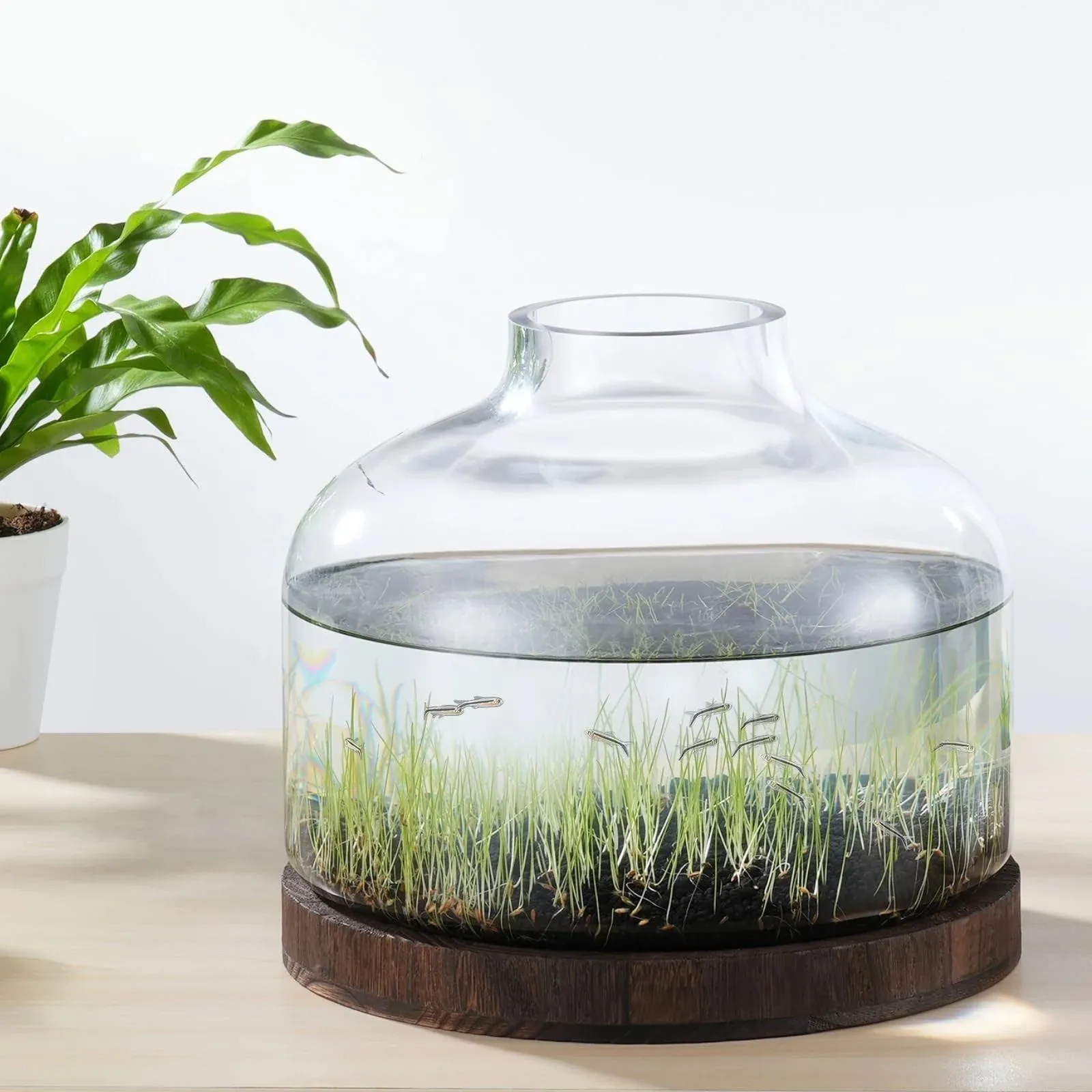  2 Gallon Fish Bowl Vase, Glass Plant Terrarium Kit, Complete with Wooden 2Gal