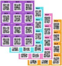 QR Code Smart Labels Color Coded Scannable Stickers for Storage Bins, Moving Containers & Organization