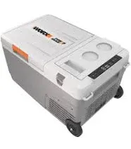 Buy Worx WX876L.9, 20V Electric Cooler without Battery