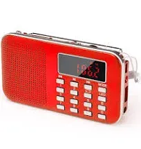 Prunus Mini Portable Radio