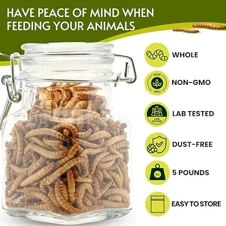 PICKY NEB 100% Non-GMO Dried Mealworms