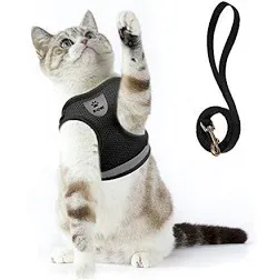 Supet Cat Harness and Leash Set for Walking Escape Proof