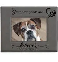 Kate Posh Your Paw Prints Are Forever in Our Hearts Engraved Leather Picture Frame