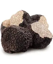 Fresh Black Summer Truffles