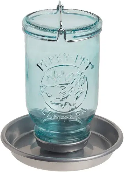 Perky-Pet Mason Jar Wild Bird Waterer