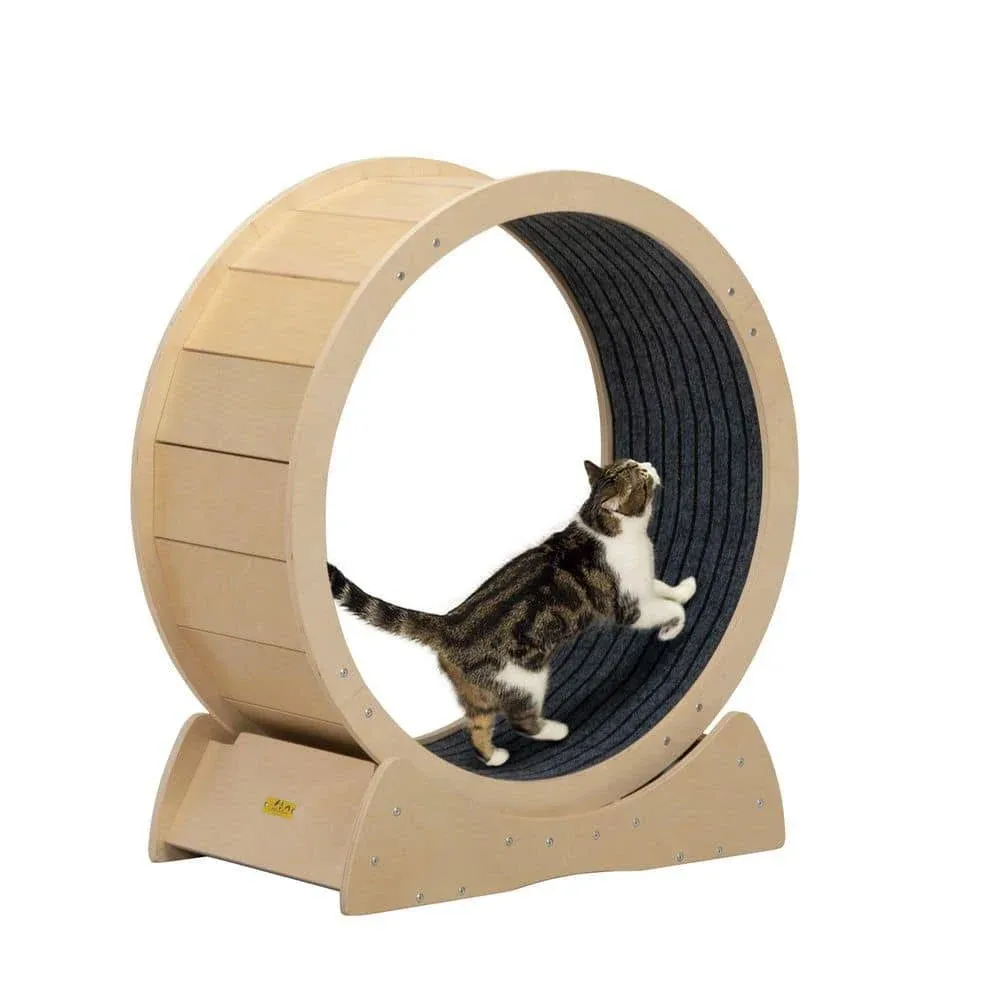 Coziwow Cat Exercise Wheel, Large Cat Treadmill with Carpeted Runway