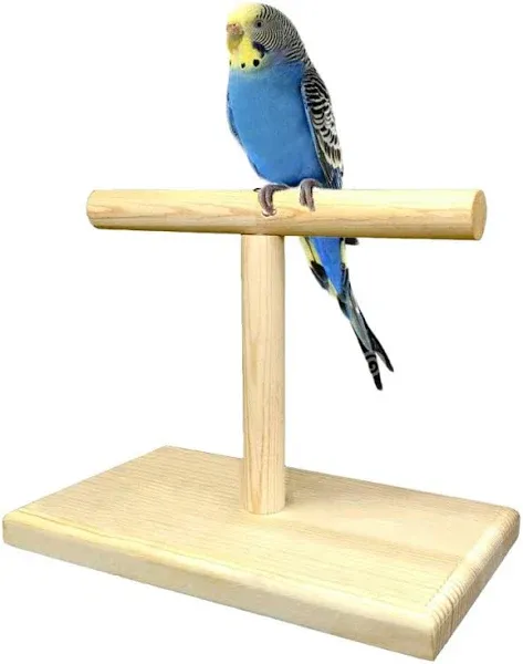 LINSHRY Bird Training Stand