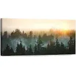 SDYA Forest Bathed in Sunlight Canvas Print