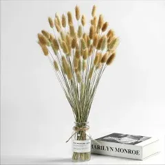 Natural Dried Bunny Tail Grass