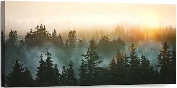 SDYA Forest Bathed in Sunlight Canvas Print