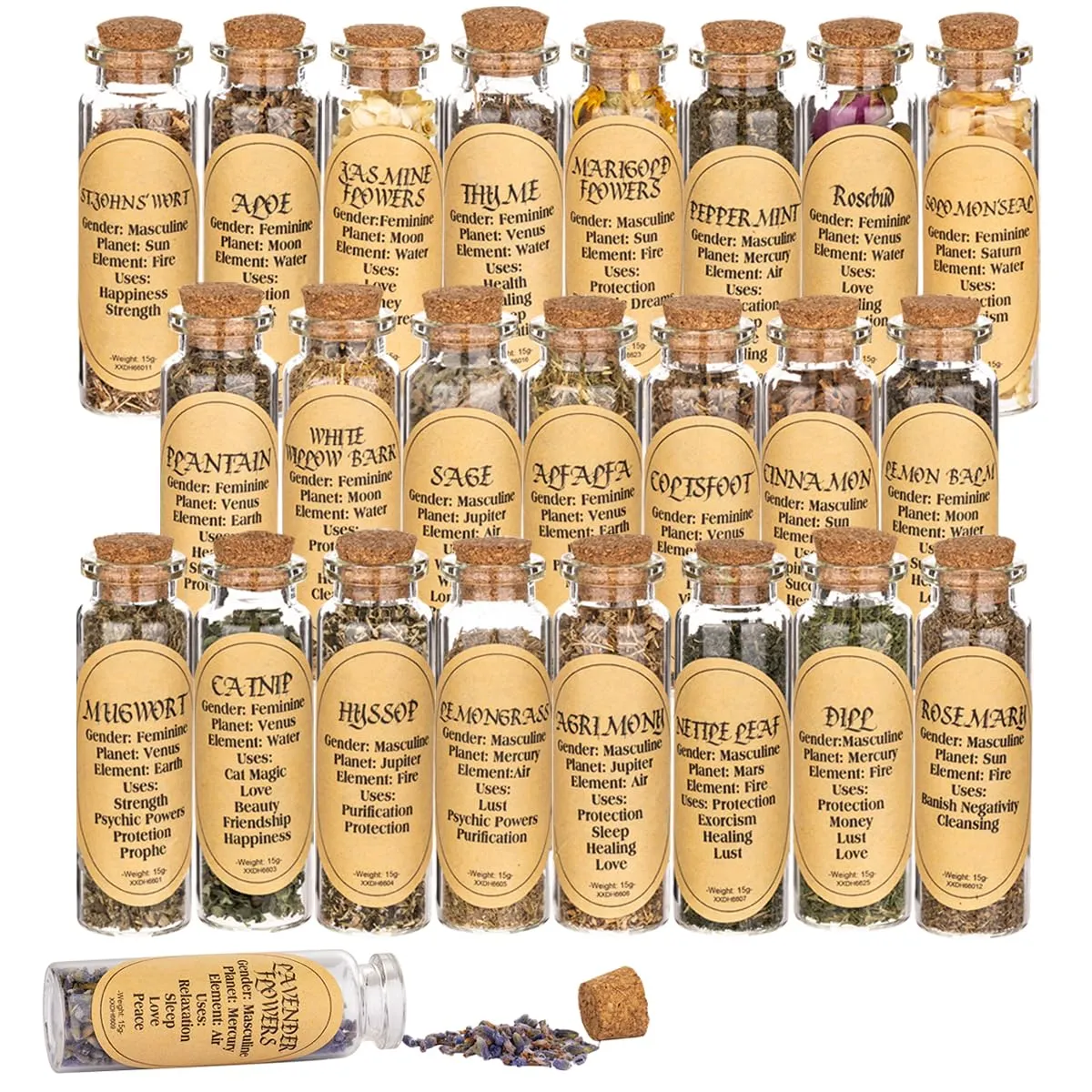 Witchcraft Supplies 24 Bottles Herbs for Witchcraft