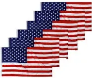 Castdream American US Flag 3x5, 2 Pack Vibrant Color & Fade Resistant US Flags for Outside 3x5 ft Flags Double Stitched Long Lasting Polyester Wi