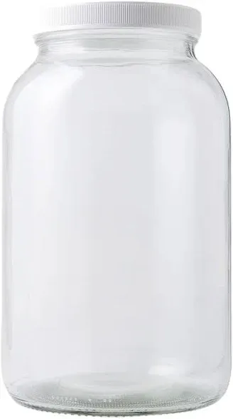 Fastrack 1 Gallon Glass Widemouth Jar 1 Count pack Of 1 Clear