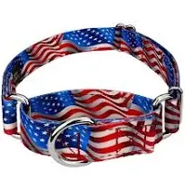 Country Brook Petz® Flying Free Reflective Martingale Dog Collar