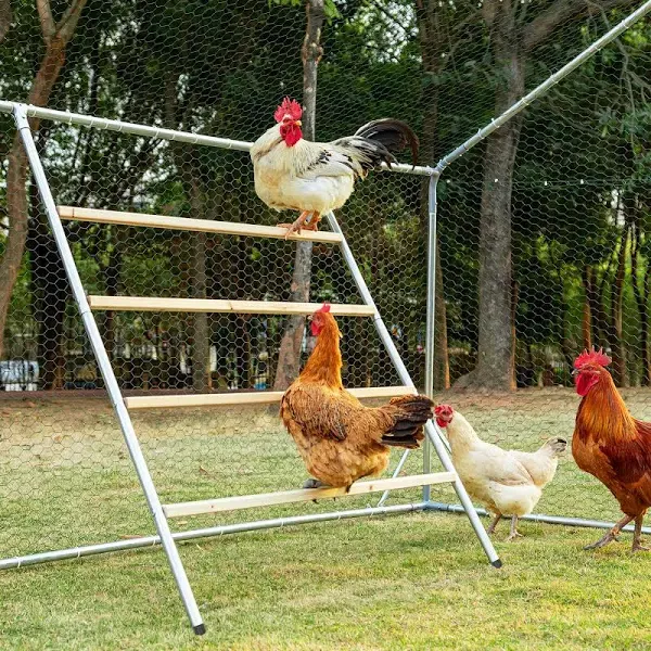 PETSFIT Chicken Roosting Perch