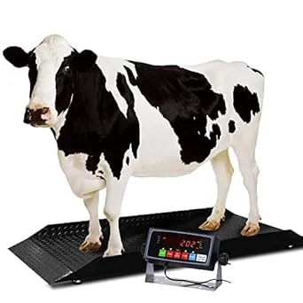 PEC SCALES Farm Animal Scale Digital Livestock Weighing Equipment 4000 x 1 lb (84x30)