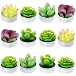 Candles Succulent Cactus 12Pcs Decorative Tealight Smokeless Plants House