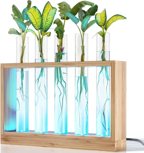 Planters' Choice Light Up Bamboo Vial Air Planter