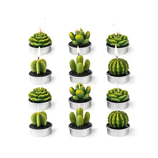 Cactus Tealight Candles,6 Pieces Handmade Delicate Succulent Cactus Candles for