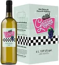 Wild Grapes Premium DIY Wine Making Kits - Pinot Grigio Style - Makes Up to 30 x 750mL Bottles, 6 Gallons of Wine