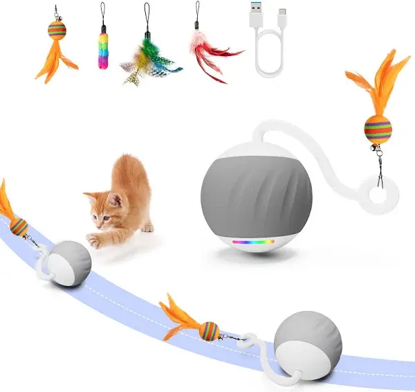 Turbo Tail Interactive Cat Ball Toy