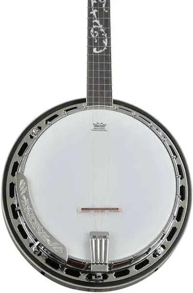 Ibanez B200 5 String Banjo